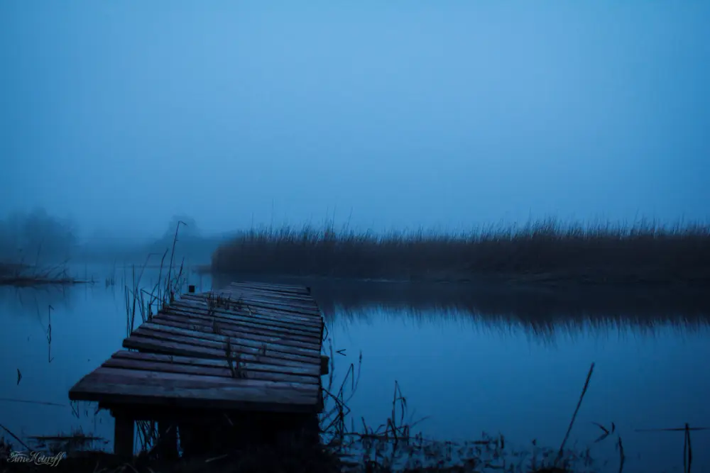 Pape Nature Park - photo 2