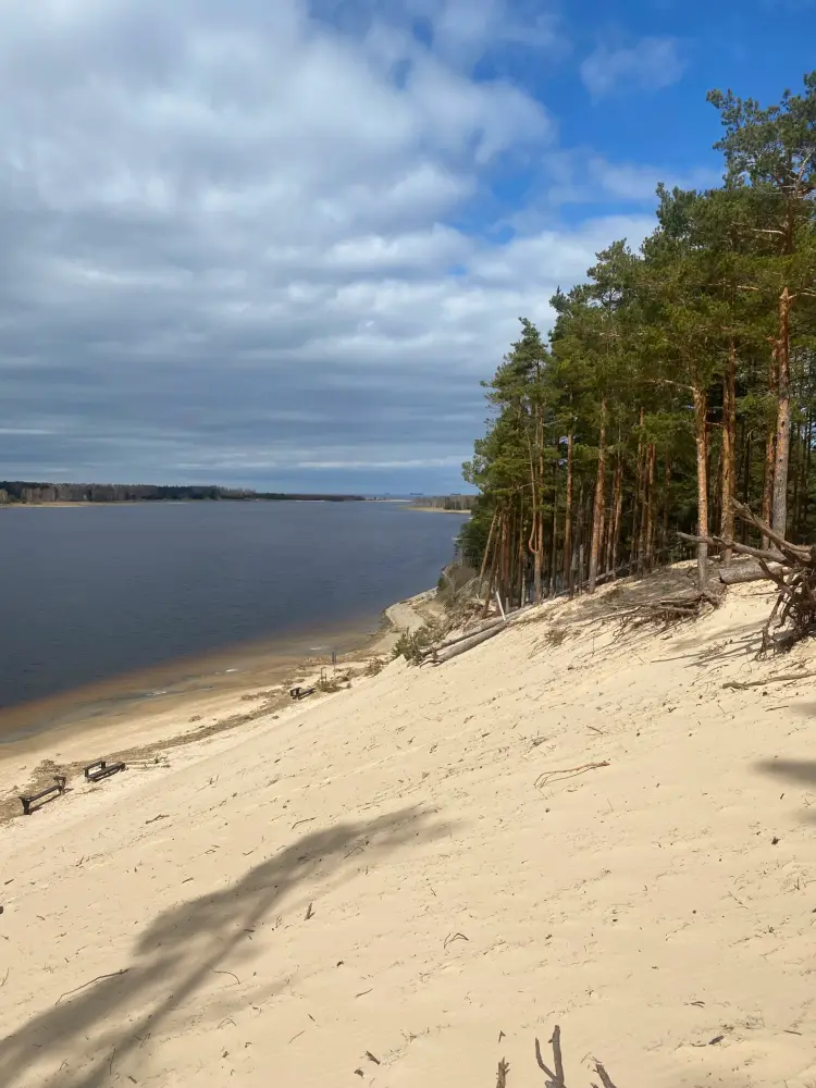 Белая дюна в Юрмале - фото 3