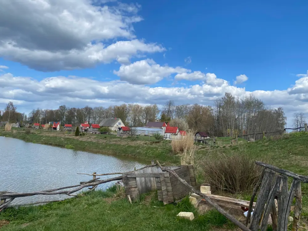 Rabbit Town - photo 6