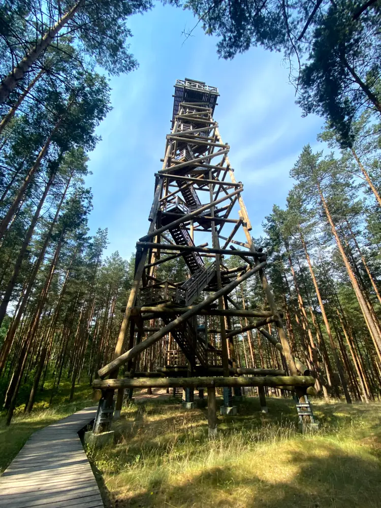 Гора Бумбу - фото 3