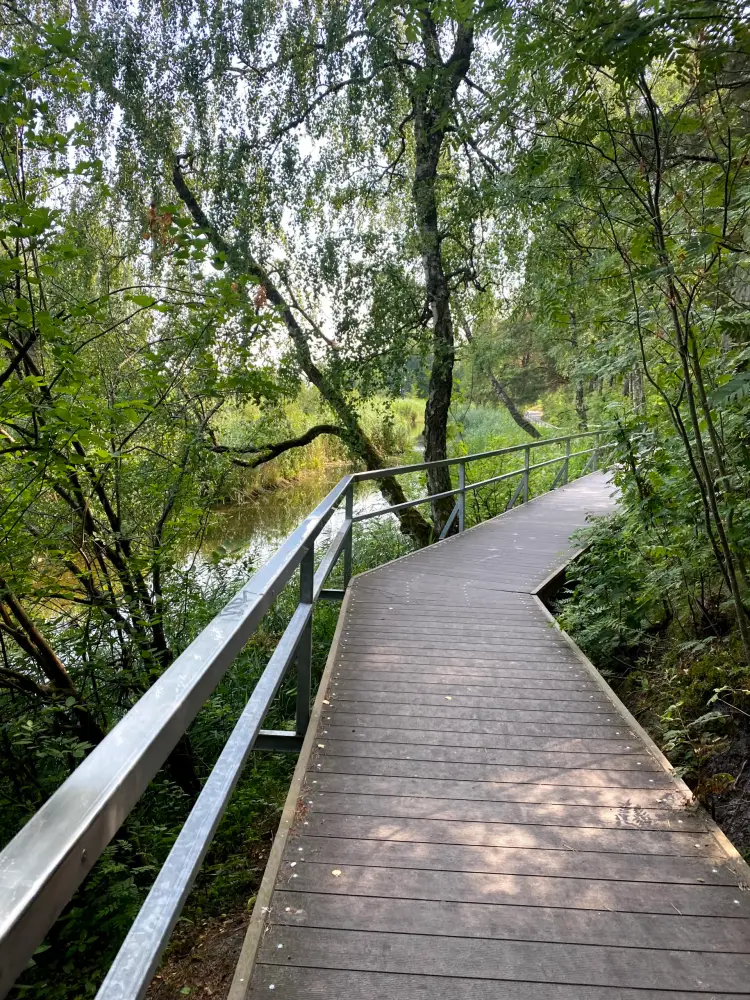 Kupskalna Nature Trail - photo 5