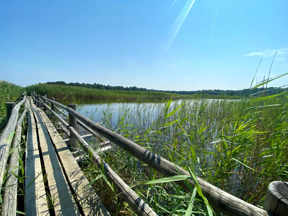 Kanieris Lake - photo 3