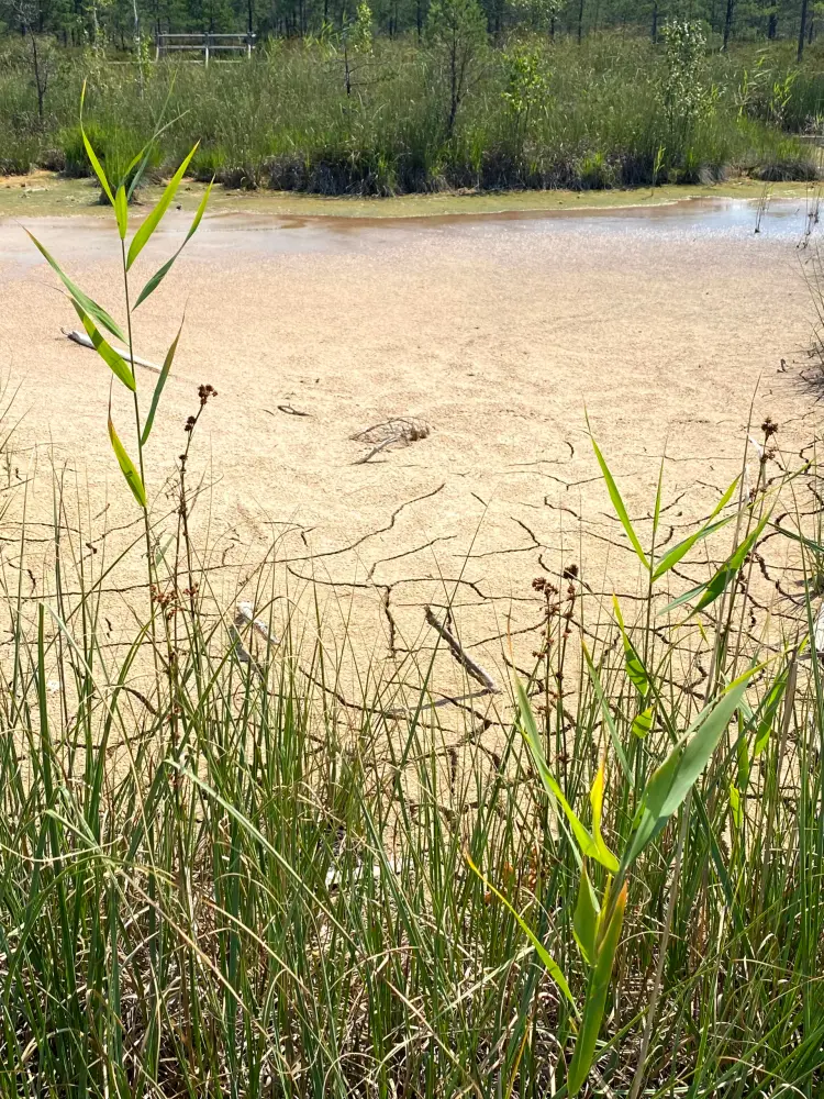 Sulfur Ponds - photo 3