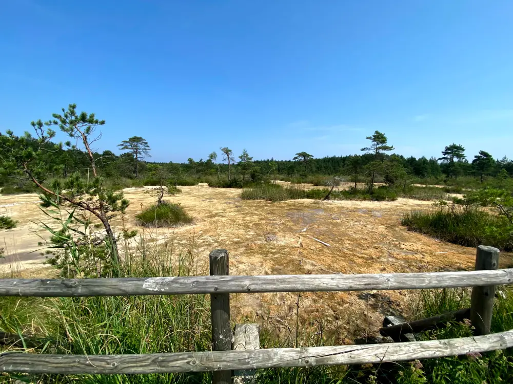 Sulfur Ponds - photo 1