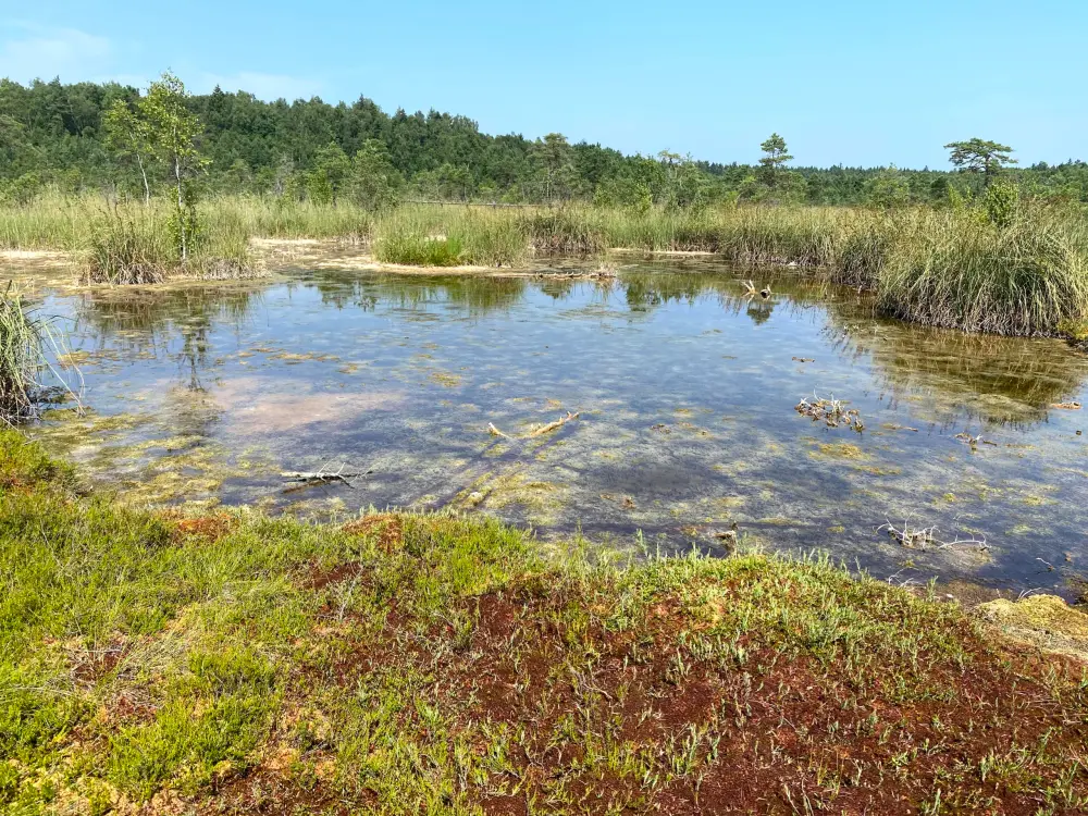Sulfur Ponds - photo 2