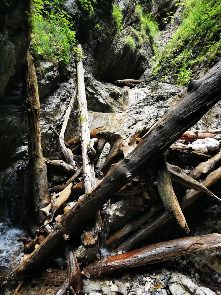 Slovak Paradise National Park - photo 5