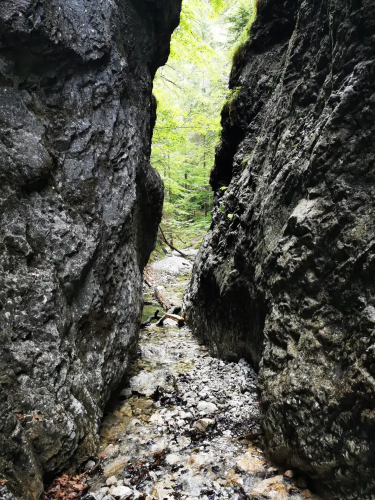 Slovak Paradise National Park - photo 4