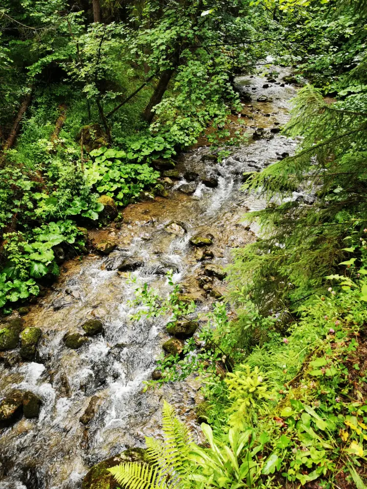 Kvačianska dolina (Квачянская долина) - фото 1