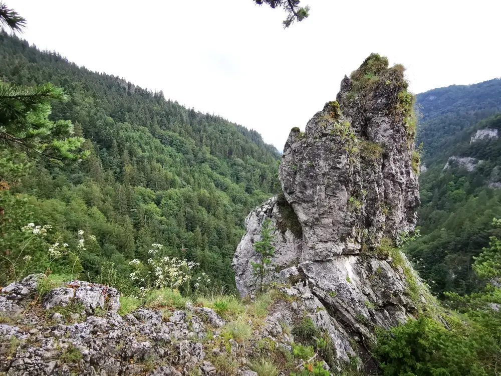 Kvačianska dolina (Квачянская долина) - фото 5