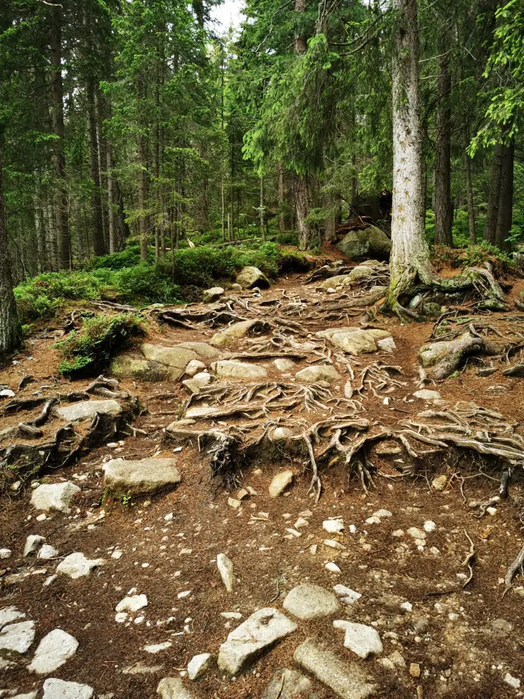 Vodopád Skok (Водопад Скок) - фото 4
