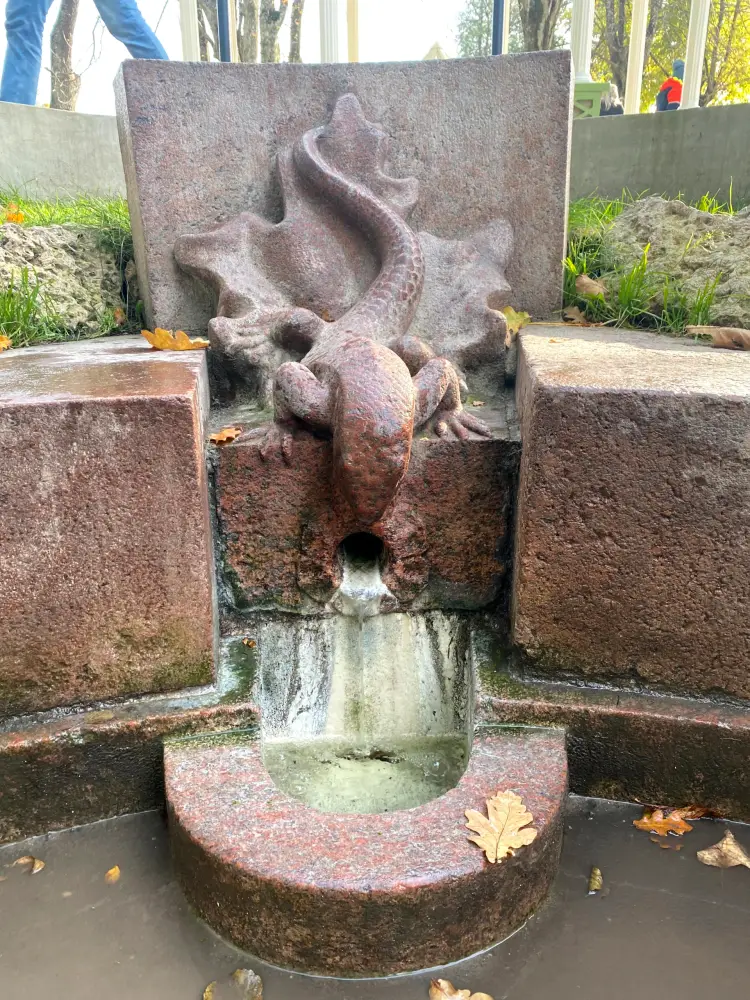 Kemeri Resort Park - photo 1