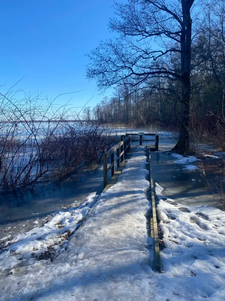 Trail on Lake Slokas. - photo 1