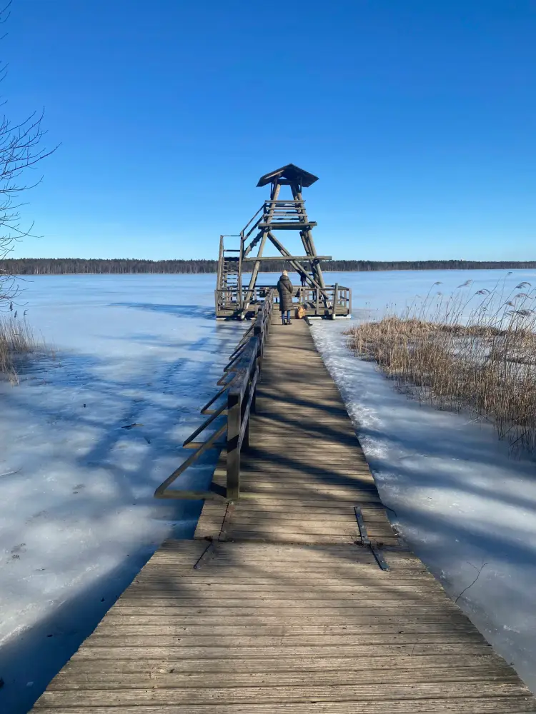 Trail on Lake Slokas. - photo 2