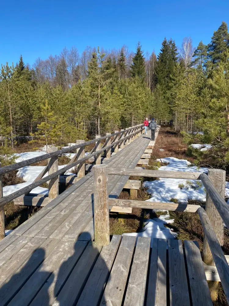 Nature Reserve "Lielie Kangari" - photo 2
