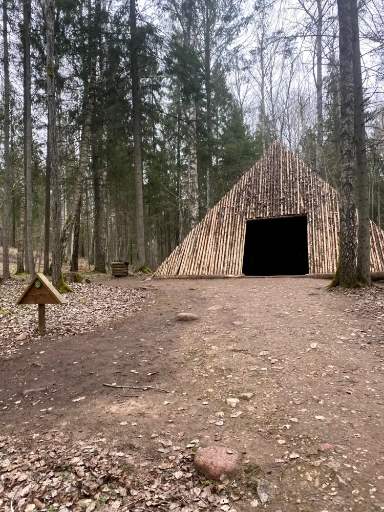 Лес Pokaiņu - фото 6