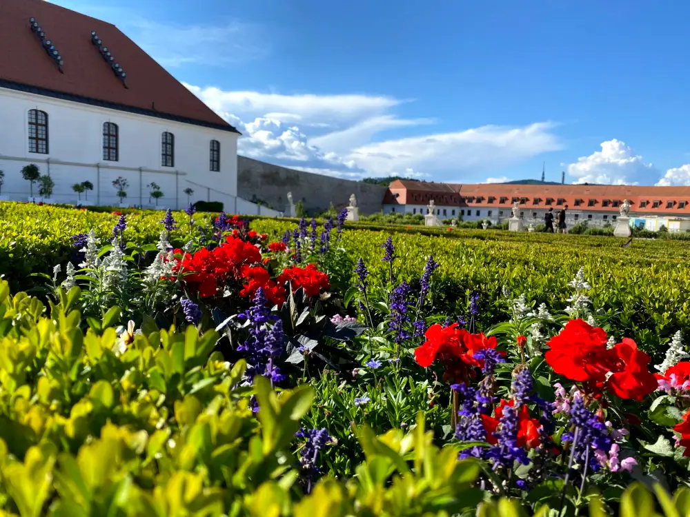 Bratisalava Castle - photo 8