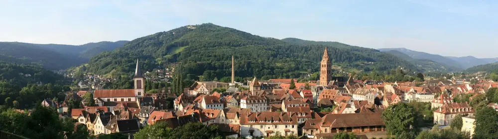 munster_(panoramique)