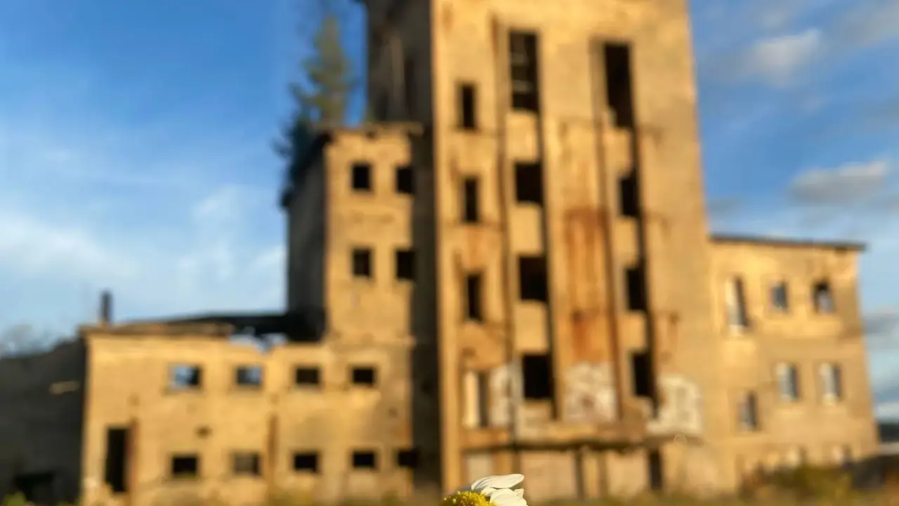 Pulp and paper plant in Sloka.