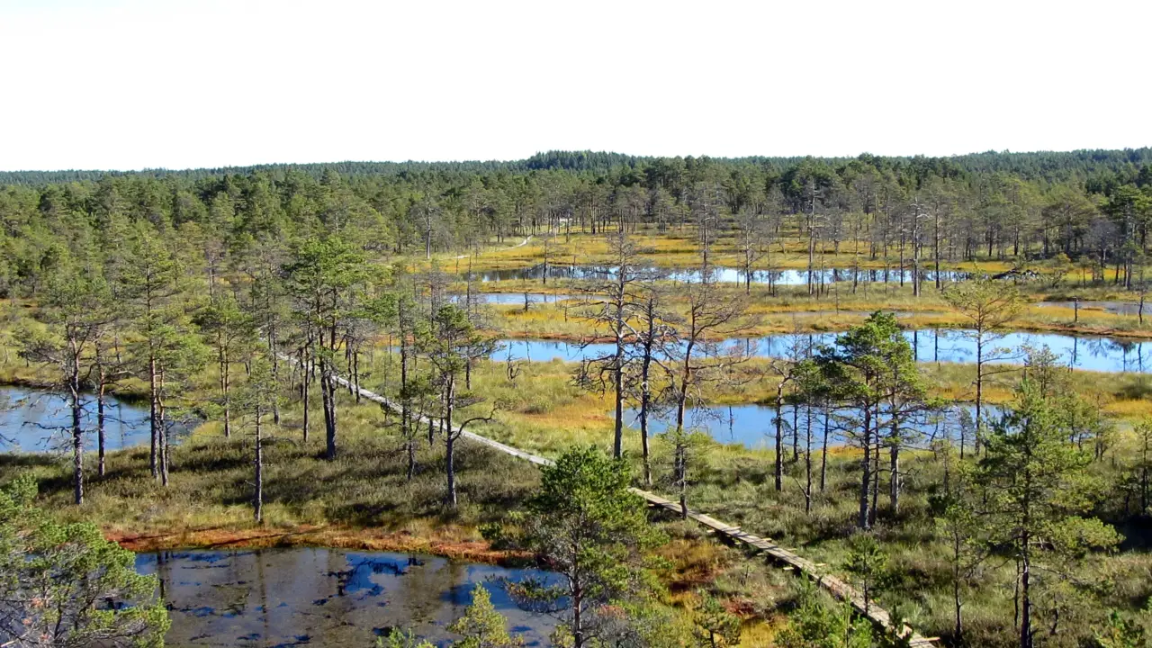 Lahemaa National Park