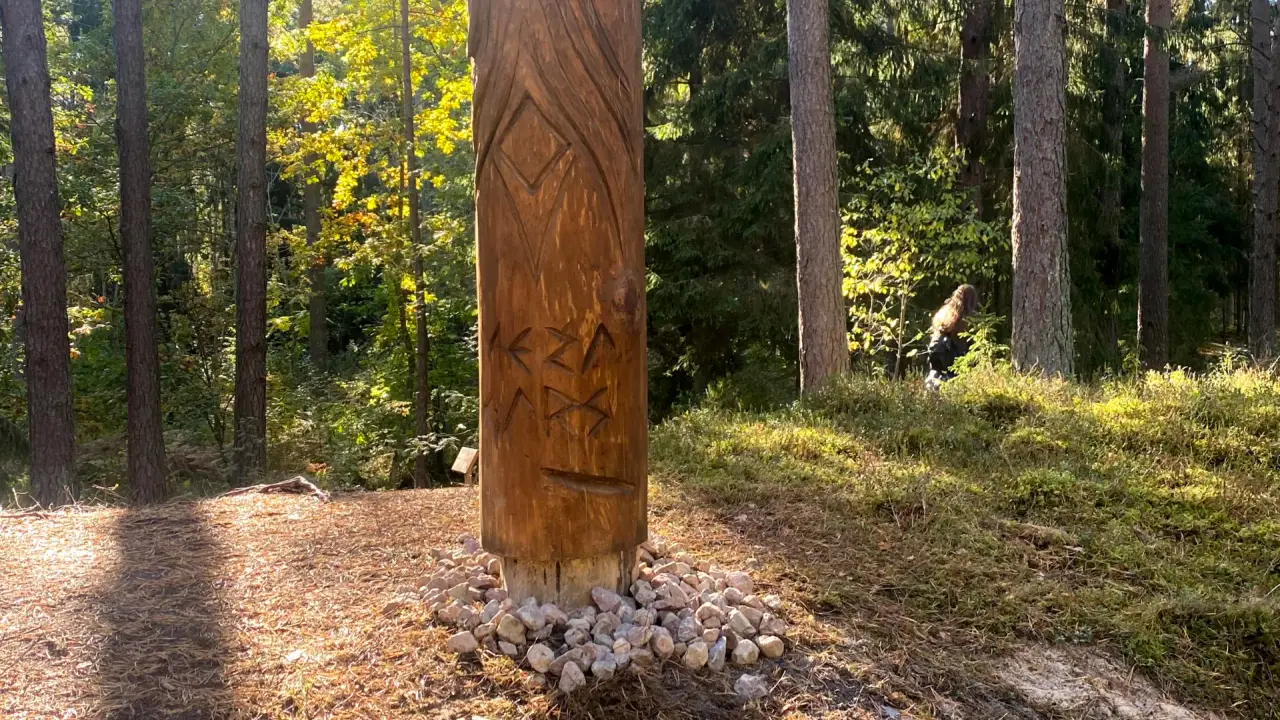 Lachupite Arboretum and Nature Trail