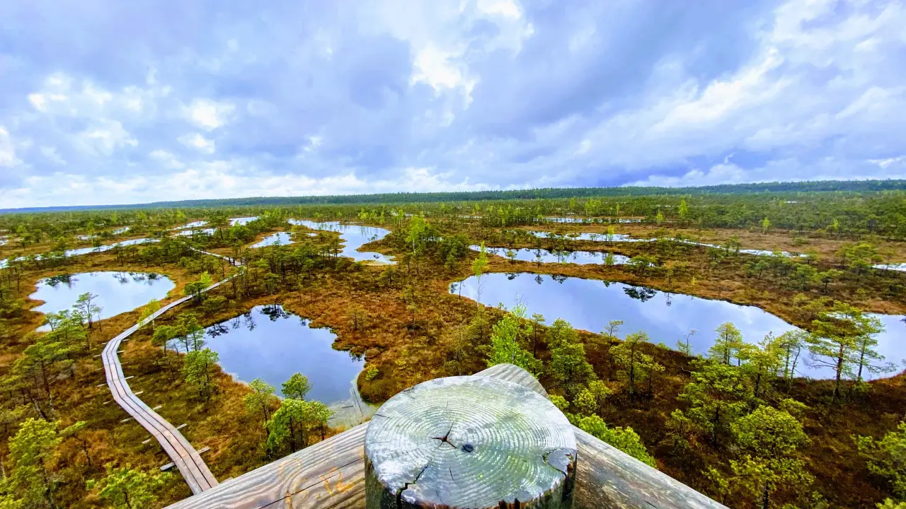 Kemeri Marshes
