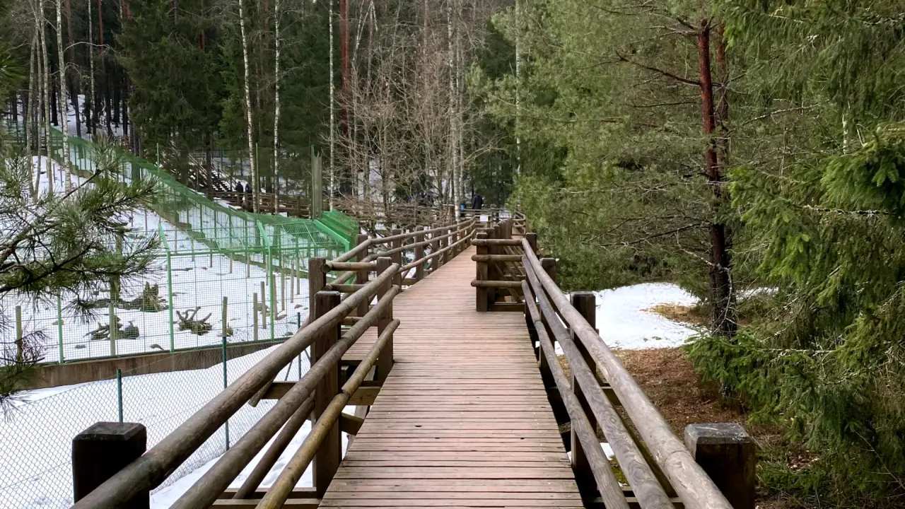 Ligatne Nature Trail