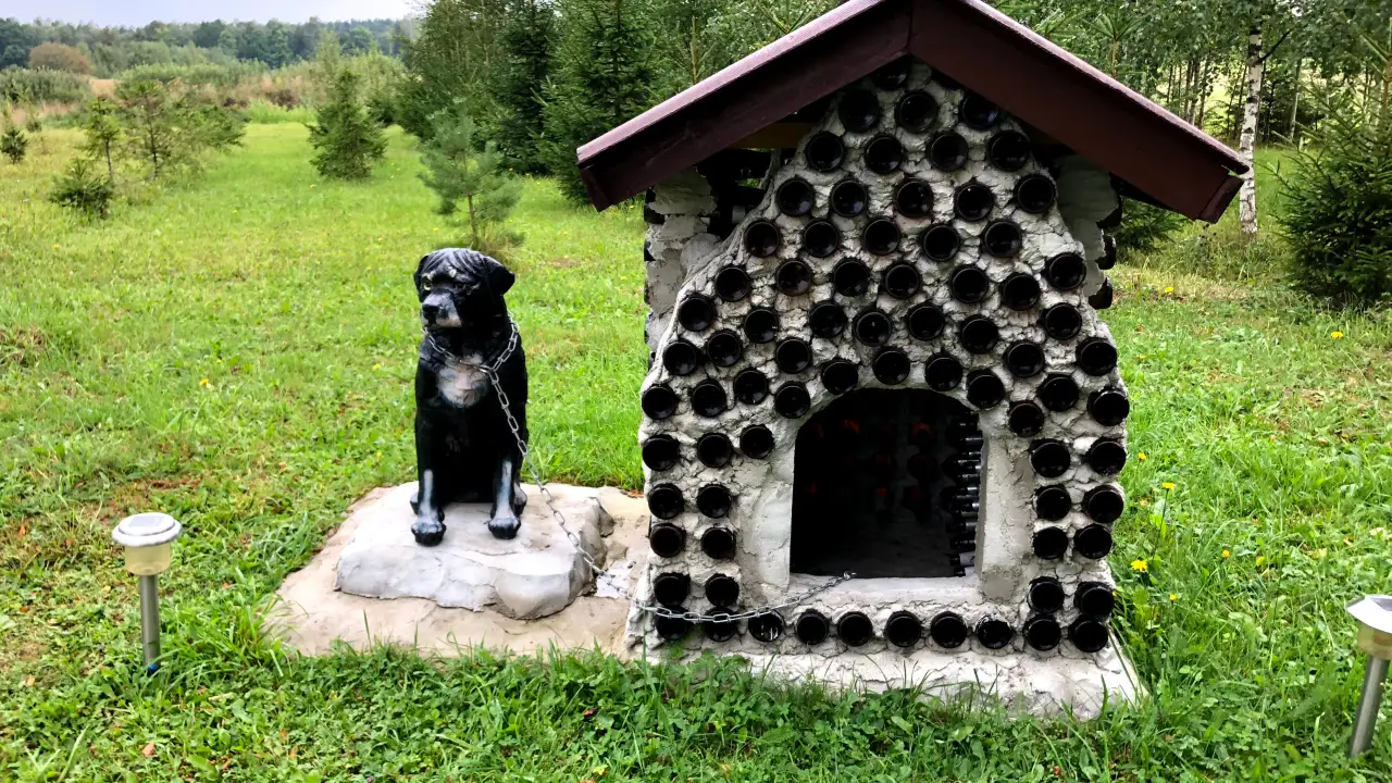 Bottle Garden