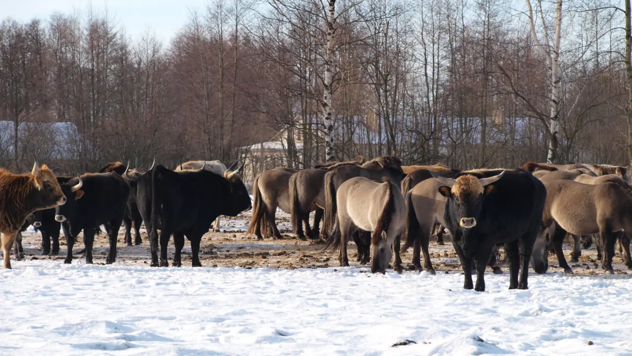 Pape Nature Park