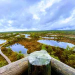 Kemeri Marshes