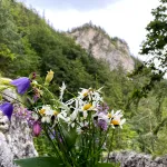 Kvačianska dolina (Kachin Valley)
