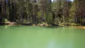 Damn Lake