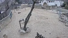 Budapest Zoo