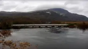 Bywyd Gwyllt Glaslyn Wildlife