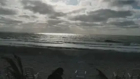 Captiva Beach, Mucky Duck