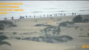 Dunes, Playa Del Ingles