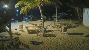 Elvis Beach Bar