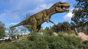 Amusement theme park „ABpark”