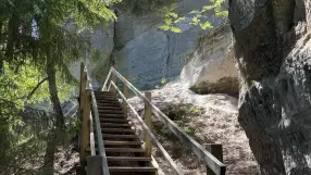 Cliff Sietiniesis