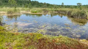 Sulfur Ponds