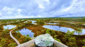 Kemeri Marshes