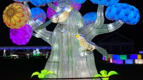 A children 's fairy tale or reality ?