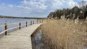 Natural trail around Liduma career