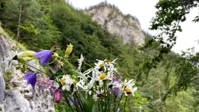 Kvačianska dolina (Kachin Valley)