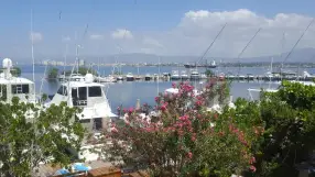 Kingston Harbour