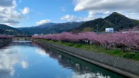 Kawazu River