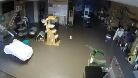 Kitty Brew Cafe