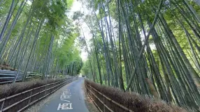 Kyoto, Bamboo path
