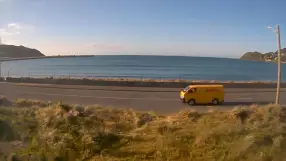 Lyall Bay