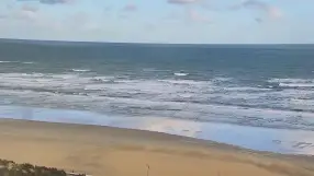 De Panne Coastline