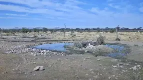 Kambaku Wildlife Reserve